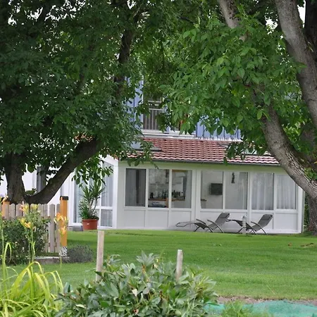 Walnut Modern Retreat